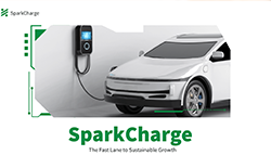 Corporate Sustainability