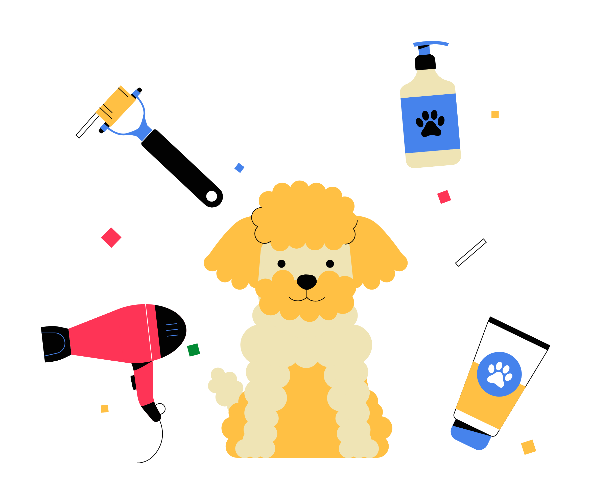 Dirty Paws Spa Business Simulation